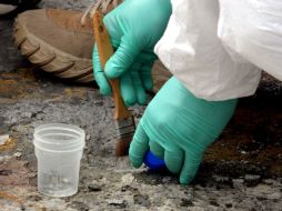 En el lugar localizan al menos 15 casquillos de arma de fuego. ARCHIVO  /