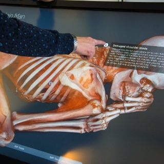 Hombre de Gebelein de Museo Británico murió apuñalado