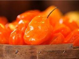 El tratamiento del chile se hace mediante el uso de extractos naturales que tienen potencial actividad antimicrobiana. ESPECIAL ID  /