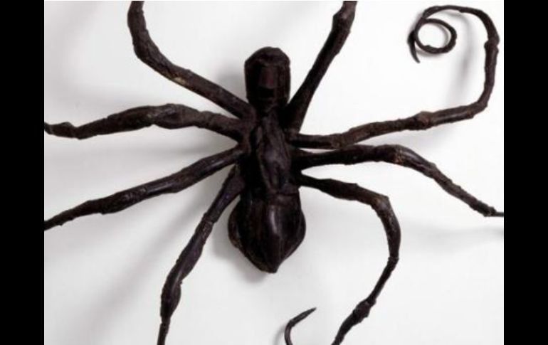 La artista se ha inspirado en los temidos arácnidos para su obra. EFE  /