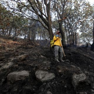 El Bosque La Primavera está videovigilado