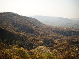 Guadalajara se convierte en la primera ciudad de la región Occidente que monitorea su principal reserva forestal. ARCHIVO  /