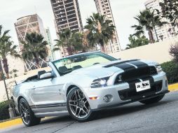 INDOMABLE. Parece que el Shelby se sale de control cuando es acelerado a fondo, pero eso también forma parte de la diversión.n una f  /