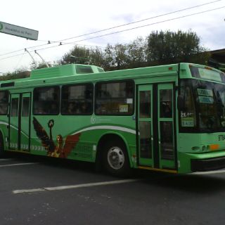 Exitosa, política de movilidad de autobuses ecológicos