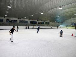 Con apoyo de empresarios locales el gobierno de Nuevo León brindará diversión gratuita a las familias regiomontanas. ARCHIVO  /