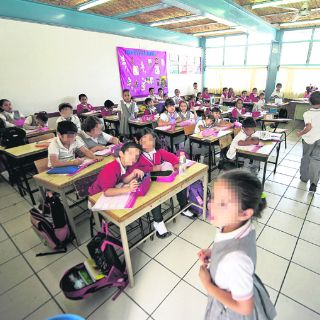 Cosechan malos resultados en ENLACE