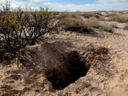Vista de una de las fosas donde hallaron los cuerpos. AFP  /