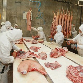 Siete rastros de Jalisco podrían exportar cortes de cerdo a Asia