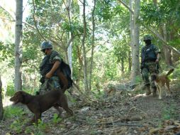 Continúan las labores en busca de más cuerpos. NTX  /
