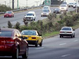 A los detenidos se les relaciona además con la tala ilegal de aproximadamente 383 árboles. ARCHIVO  /