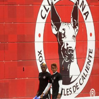 Xolos no especulará el domingo