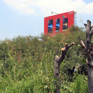 Detienen a dos presuntos talacamellones