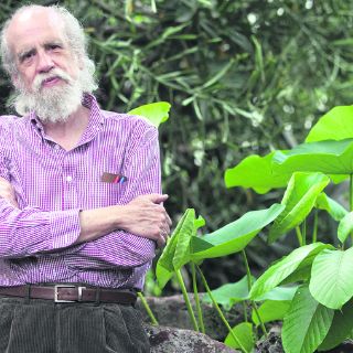 La reivindicación de un arte: González Gortázar