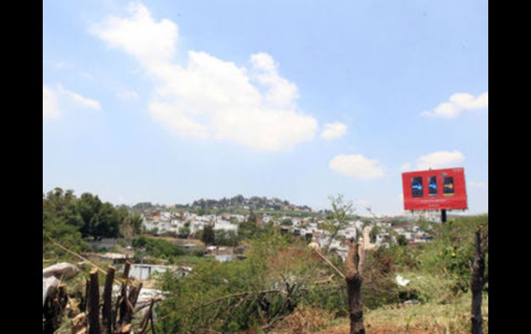 Los detenidos declararon que empresas de publicidad y anuncios espectaculares les pagaban por realizar las podas. ARCHIVO  /