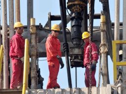 El bioetanol se produce por la fermentación de los azúcares contenidos en la materia orgánica de las plantas. ARCHIVO  /
