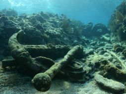 Es posible apreciar 10 vistas de superficie y 15 subacuáticas. EL UNIVERSAL  /