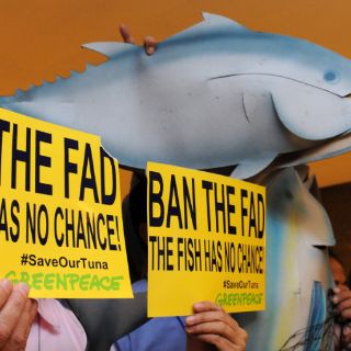 Greenpeace denuncia a dos empresas textiles mexicanas