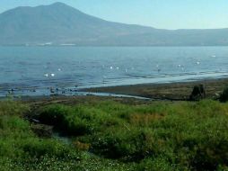 La salida del agua de la PTAR está a unos metros dentro del vaso del lago.  /