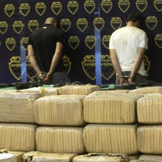 Policía estatal asegura más de una tonelada de mariguana en Poncitlán