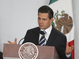 Peña Nieto anunció que a más tardar en enero se oficializará la creación del Instituto. NOTIMEX  /