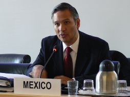 Ricardo Antonio Bucio Mújica estará al frente el Consejo Nacional para Prevenir la Discriminación (Conapred). ARCHIVO  /