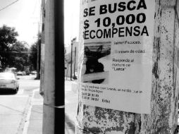RECOMPENSA. ''Traía una pechera rosa cuando se perdió por la Avenida Chapultepec'', escribió suplicante la dueña en los carteles.  /