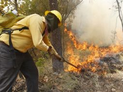 El objetivo de Bomberos y Protección Civil municipal es salvaguardar la seguridad de los tapatío ante cualquier emergencia. ARCHIVO  /