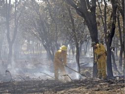 El escuadrón permanecerá por tiempo indefinido en el bosque El Nixticuil para evitar nuevos incendios. ARCHIVO  /