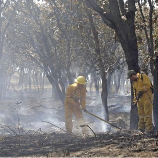 Policía montada de Zapopan vigilará bosque El Nixticuil