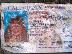 La licencia de manejo de Jenni Rivera, tal como fue encontrada en el lugar de la tragedia. AP  /