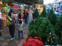 Experto señala que se debe ahorrar lo más que se pueda para los gastos se generan año con año en el mes de enero. ARCHIVO  /