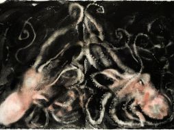 ''Doble Coleoidea'', una de las obras de Barceló que acoge el ''Bank Austria Kunstforum'' de Viena. EFE  /