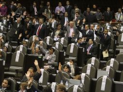 El dictamen fue aprobado y regresará con cambios a la cámara de diputados. ARCHIVO  /