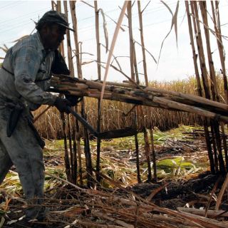 Cañeros, en contra de impuesto adicional a refrescos