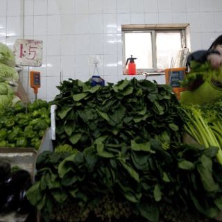 Ácido fólico reduce hasta 70% riesgo de problemas neurológicos