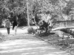 TIEMPO. ''Hay ocasiones en que no platican, como si cada uno de repente pensara en sus pendientes''.  /