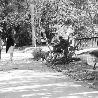 Dos en un parque, en todos los parques