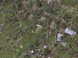 El tifón Bopha mató a mil 20 personas, principalmente en la isla meridional  de Mindanao. ARCHIVO  /