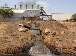 A partir de la presencia del cromo en el agua, el metal puede llegar a la tierra y ser absorbido por diferentes cultivos. ID  /