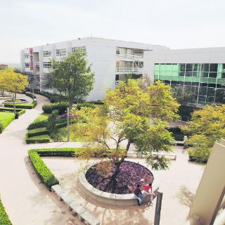 La UVM está lista como entidad certificadora