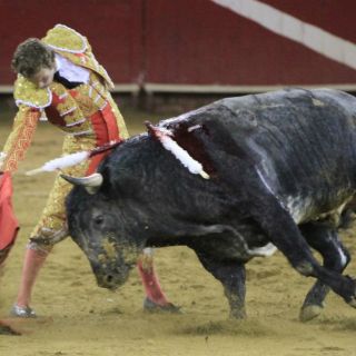 Interesante actividad taurina de Navidad