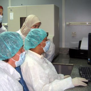 Ramsés III fue degollado en un intento de golpe de Estado