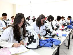 Las escuelas fueron sometidas a cinco indicadores de productividad. ARCHIVO  /