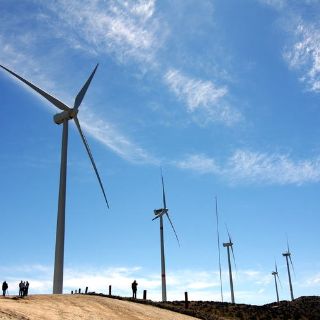 Energía eólica, la de mayor desarrollo en 2012