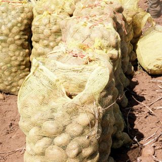 Boeing usó sacos de papas para mejorar Wi-Fi