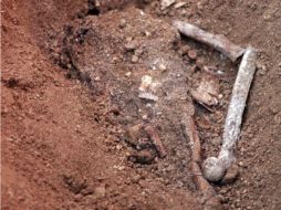 La osamenta se examina en el Servicio Médico Forense de Nayarit. ARCHIVO  /