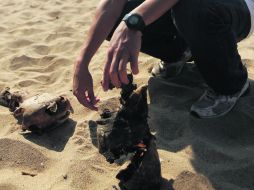 CONCENTRADO. Daniel Baldivia en acción, cuando le corresponde trabajo de campo.  /