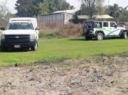 IDENTIFICACIÓN. Elementos del IJCF levantaron y trasladaron a la morgue tapatía los cadáveres encontrados en Santa Anita. ESPECIAL  /
