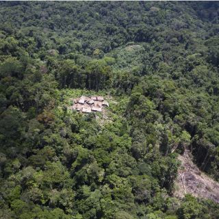 La Amazonia pierde más de mil kilómetros cuadrados