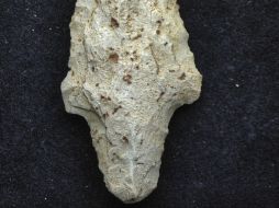 Hallazgo en un sitio arqueológico de la época Arcaica, donde encontraron 60 puntas de proyectil. EFE  /